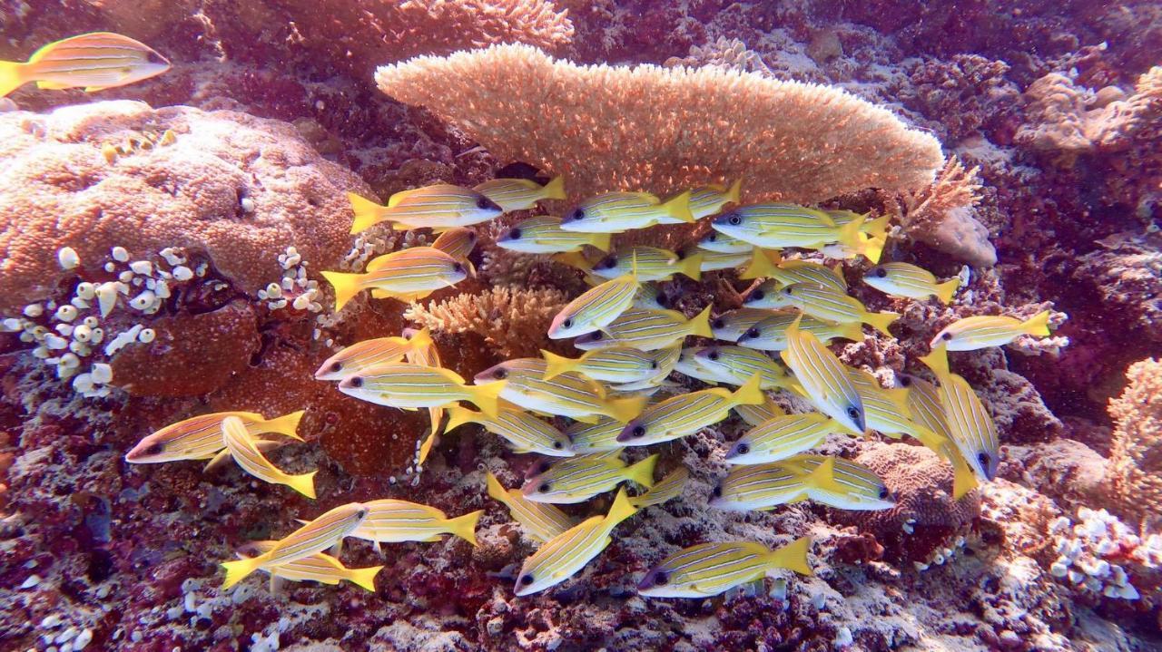 Wow Inn Keyodhoo Keyodhoo  Buitenkant foto