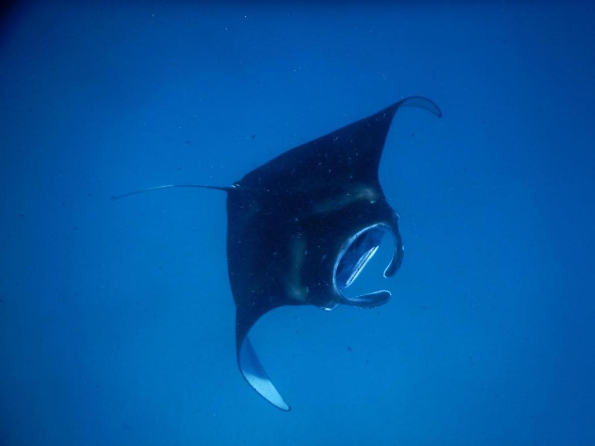 Wow Inn Keyodhoo Keyodhoo  Buitenkant foto