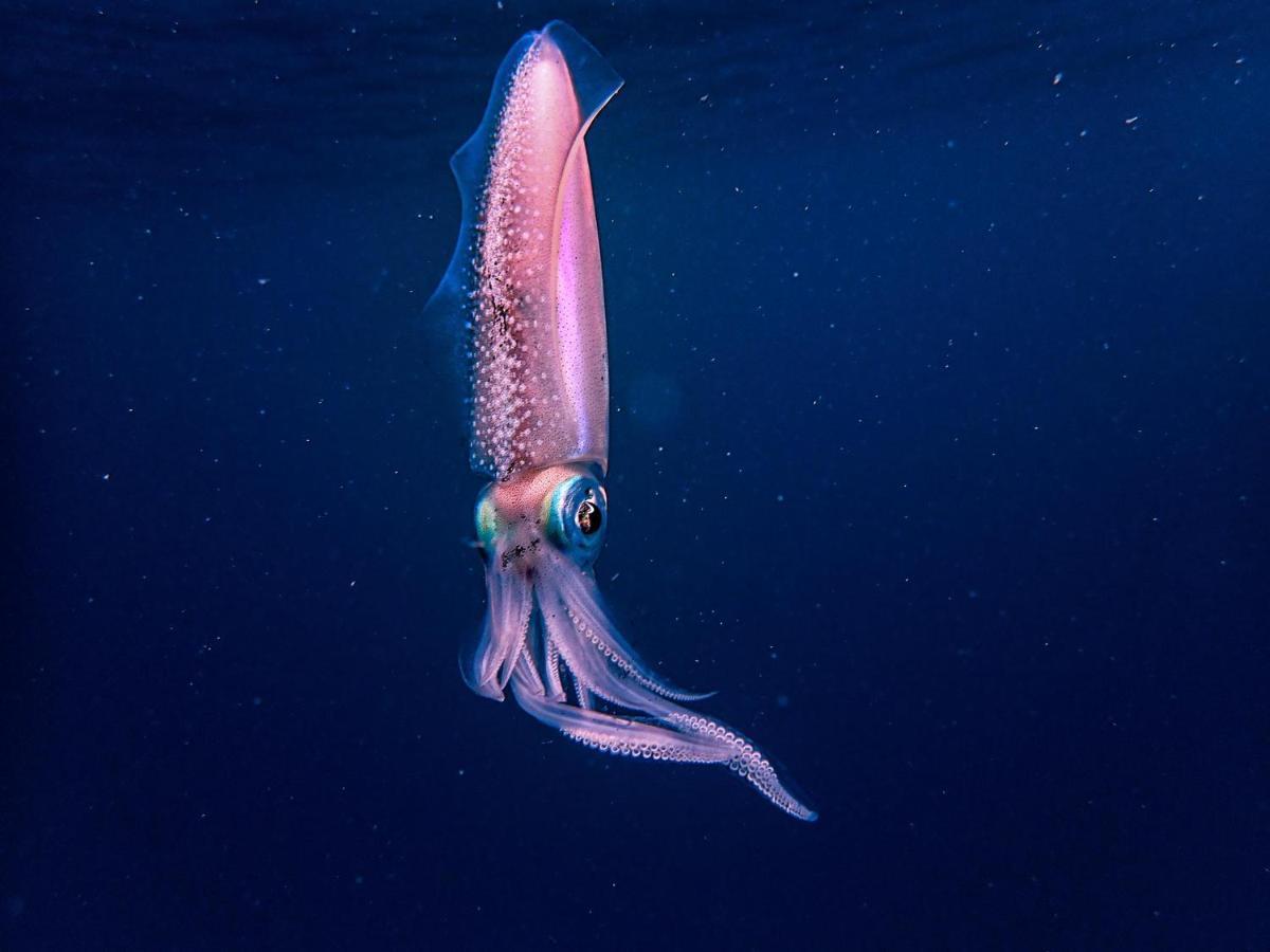 Wow Inn Keyodhoo Keyodhoo  Buitenkant foto